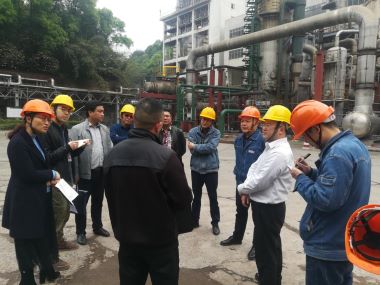 四川省應(yīng)急管理廳督查公司危險(xiǎn)化學(xué)品專(zhuān)項(xiàng)整治工作