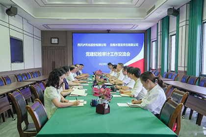 云南水富云天化有限公司到我公司開(kāi)展黨建紀(jì)檢審計(jì)工作經(jīng)驗(yàn)交流